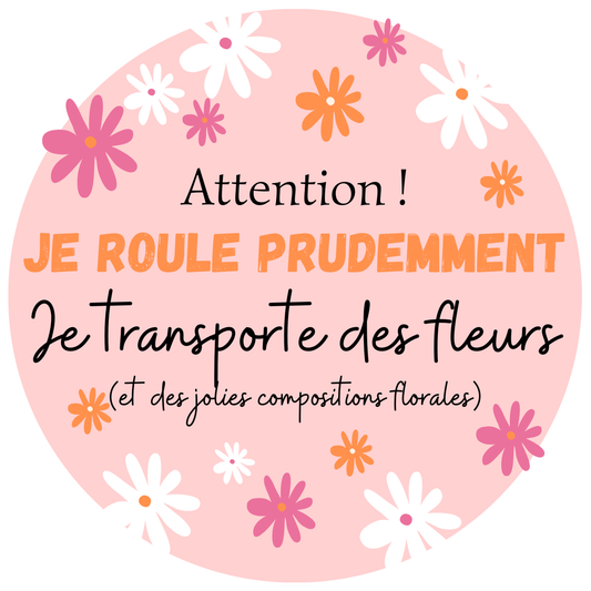 Sticker pare brise voiture